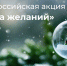 Помогите Деду Морозу осуществить мечты детей! - Социально-реабилитационный центр для несовершеннолетних