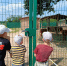 Фото - Социально-реабилитационный центр для несовершеннолетних
